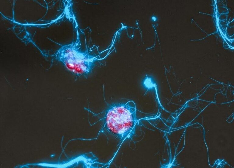 مهمانی میکروب‌ها