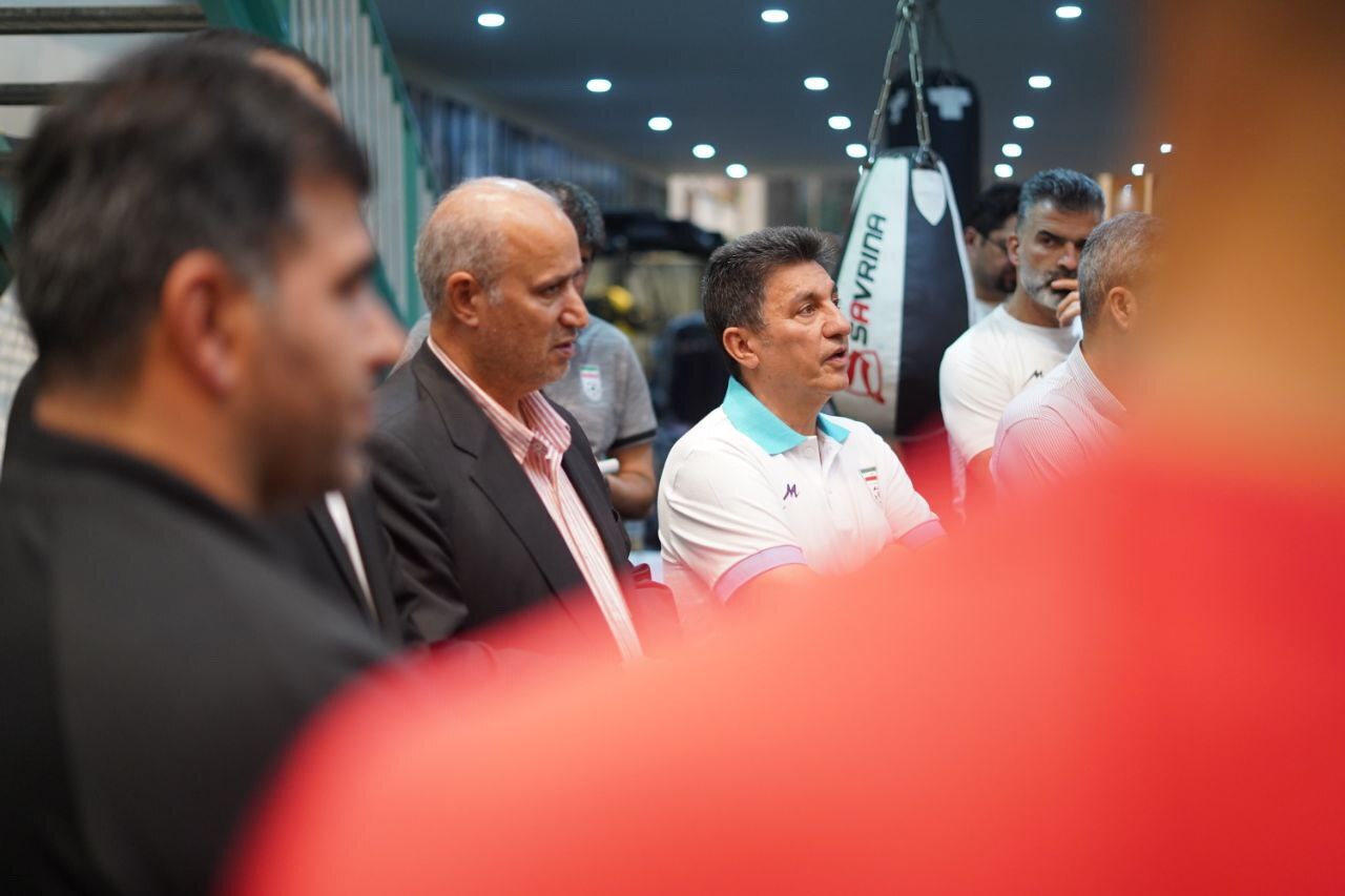 امیر قلعه نویی