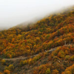 سفر رنگارنگ پاییزی