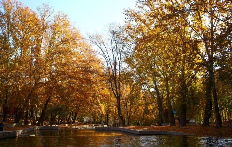 کاهش نسبی دمای هوا