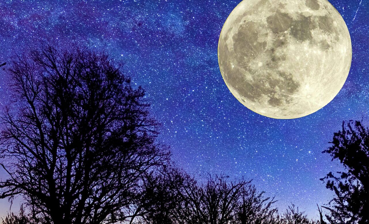 اَبَرماه «سگ آبی»