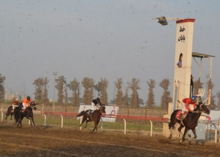 تاخت اسب‌ها در گنبدکاووس