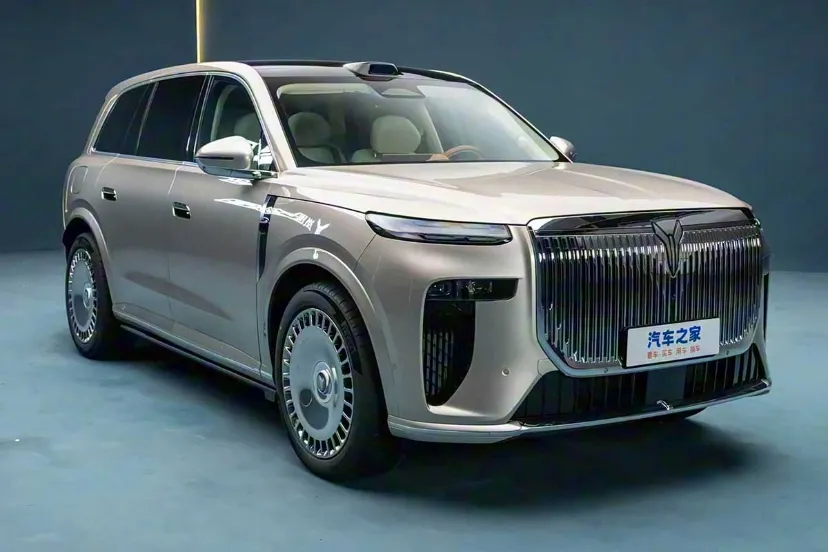 معرفی وویا تایشان