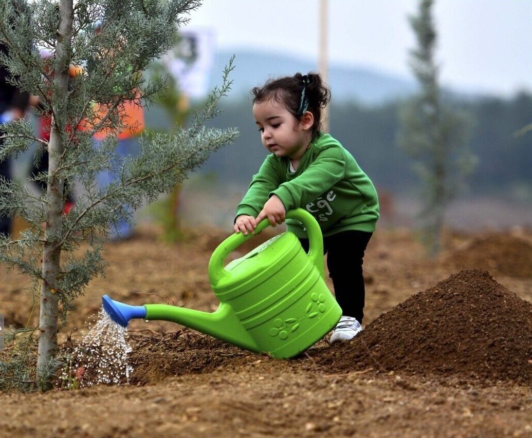 محیط‌های امن