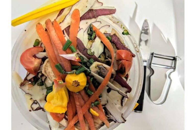 کاهش ضایعات غذایی