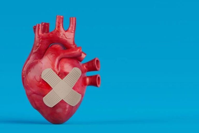 ترمیم قلب