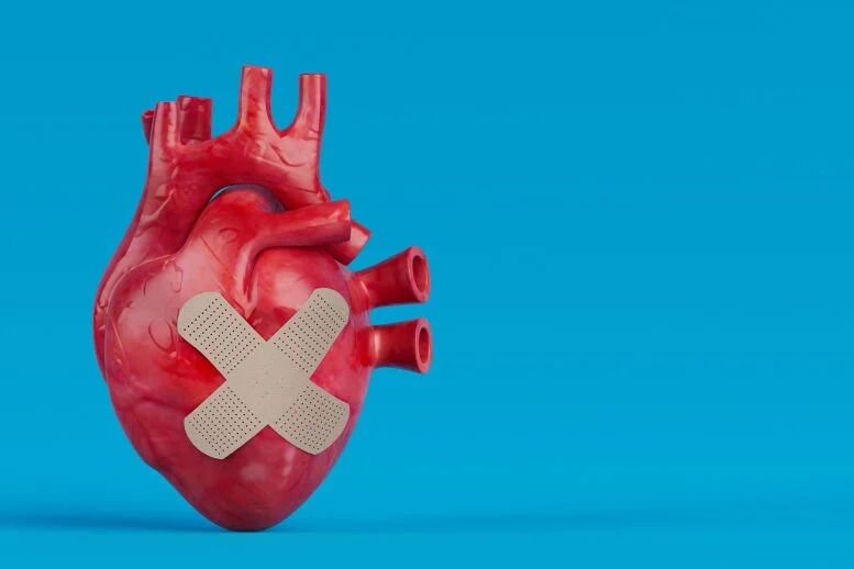 ترمیم قلب