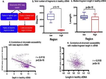 نقشه ژنتیکی