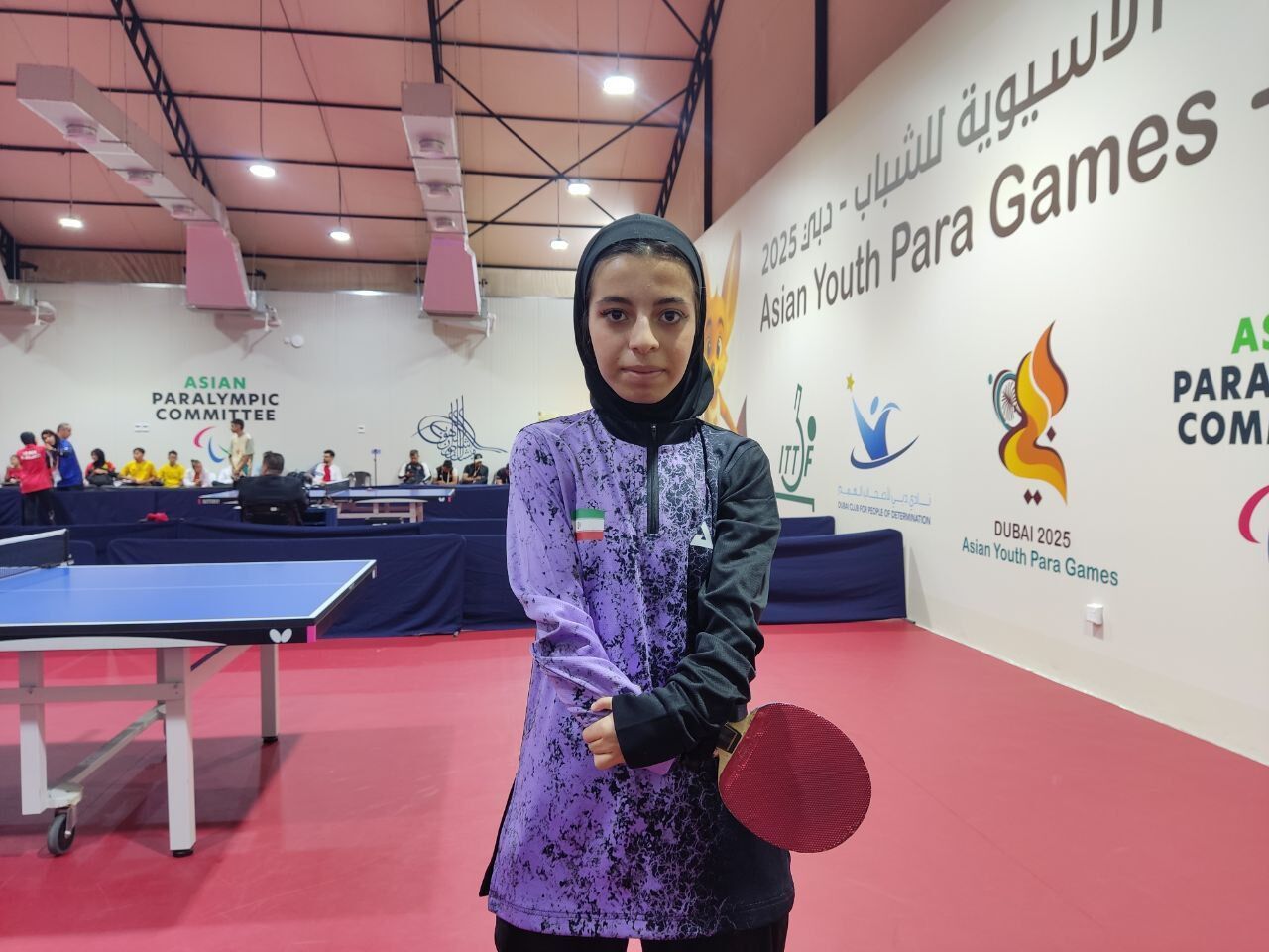 پاراتنیس روی میز