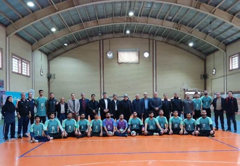 بازی‌های پاراآسیایی ژاپن