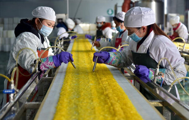 خودکفایی غلات