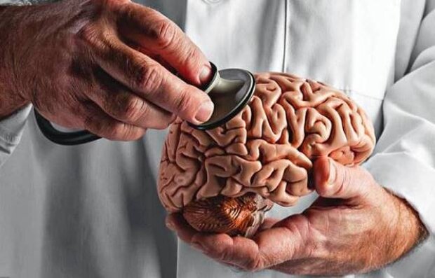 مغز جوان‌تر