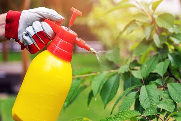 آفت‌کش‌ها