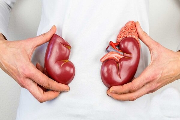 بیماری‌های کلیوی