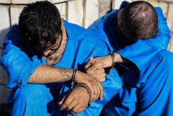 سارقان حرفه‌ای