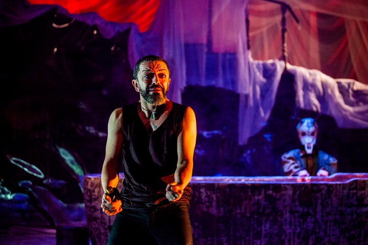 «شاخ بی‌سر»