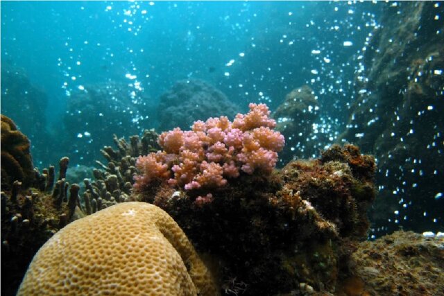 حباب‌های گاز آتشفشانی