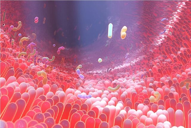 میکروبیوم روده