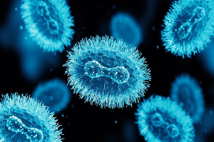 آبله میمونی