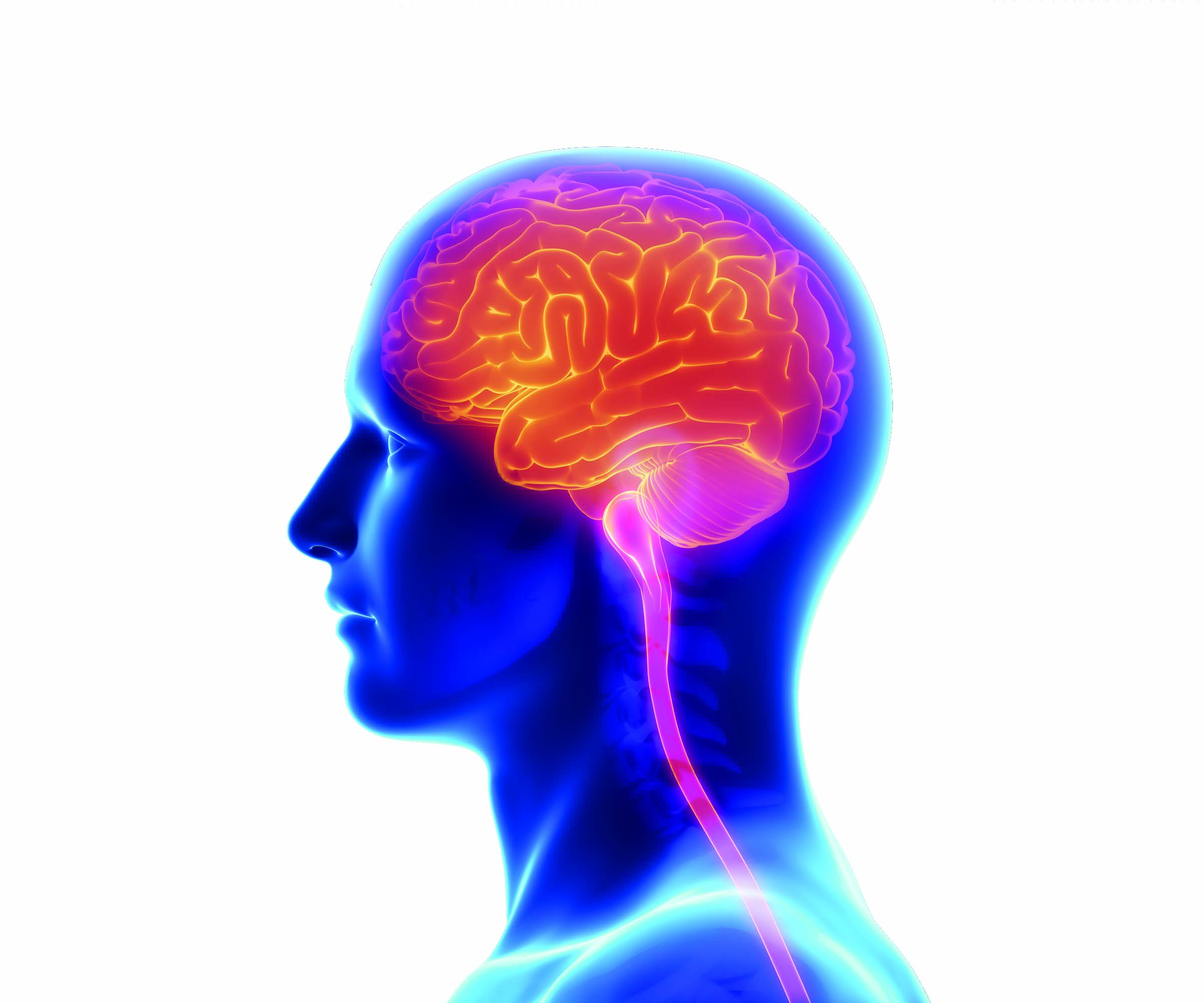 دو دشمن اصلی برای پیشرفت در این دوران