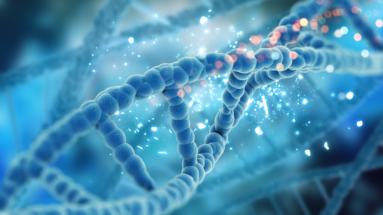 DNA