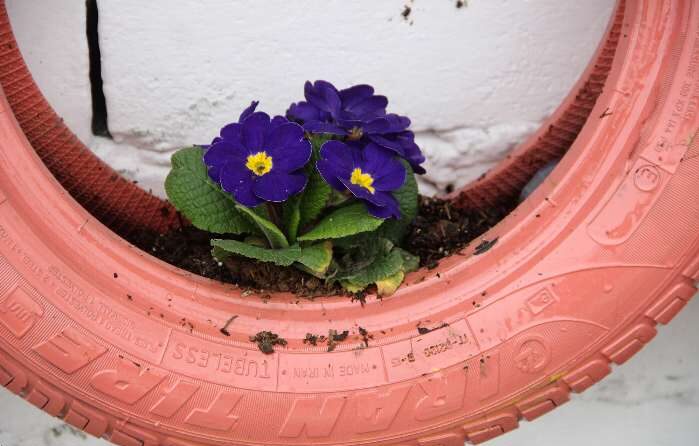 دکوراسیون ارزان