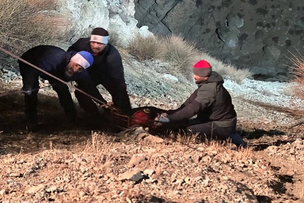 سقوط مرگبار خودرو