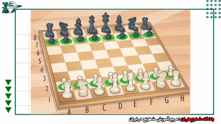 شطرنج چگونه من را برای مدیرعامل‌شدن آماده کرد؟