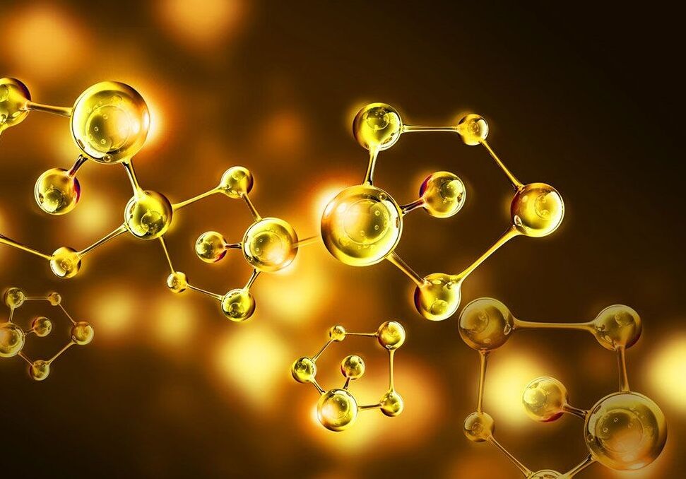 المپیاد بین‌المللی دانشجویی فناوری نان