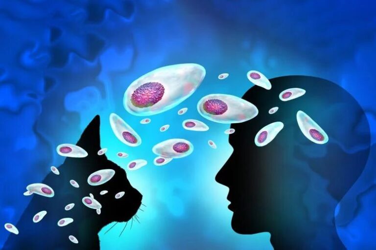 درمان توکسوپلاسما