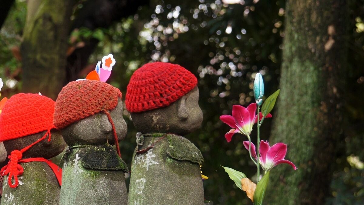 سقط‌جنین‌