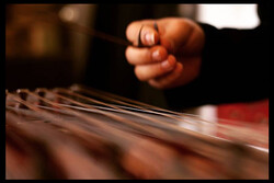 خواننده بختیاری