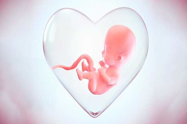 الکل در بارداری