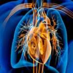 داروی لاغری