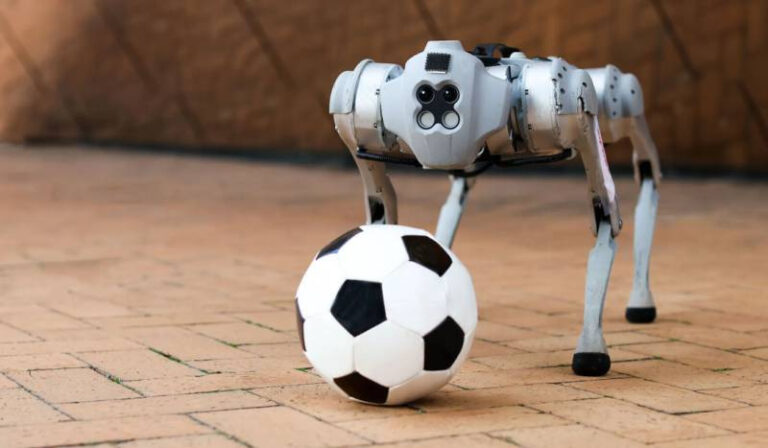 World-Cup-robotic-dogs-3