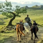 شورانر شوالیه هفت پادشاهی