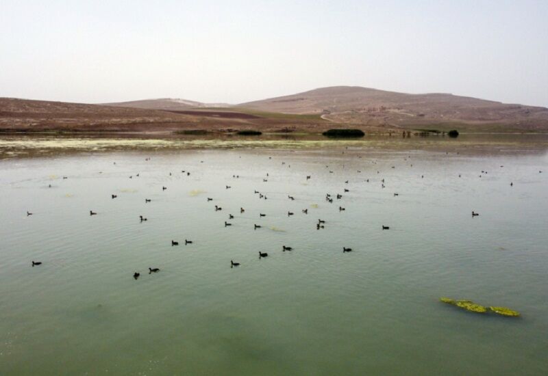 تالاب بین‌المللی حسنلو