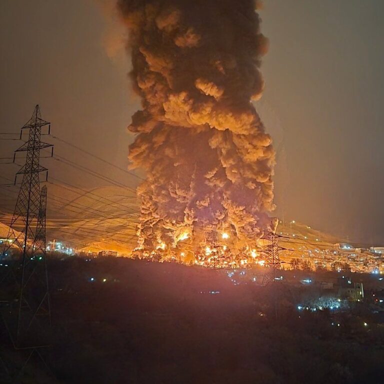 سازمان بهداشت جهانی