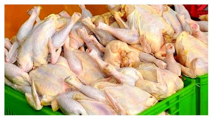 گوشت مرغ