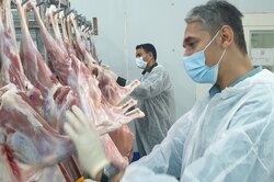 ذخایر استراتژیکِ غذایی