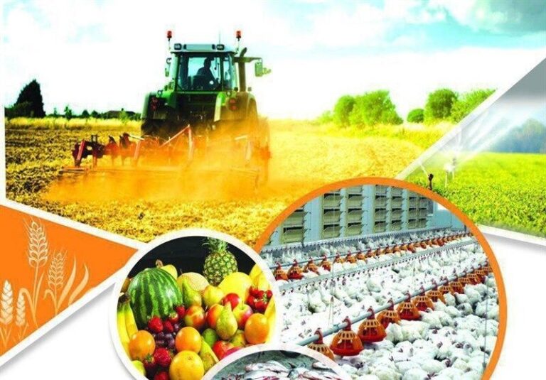امنیت غذایی