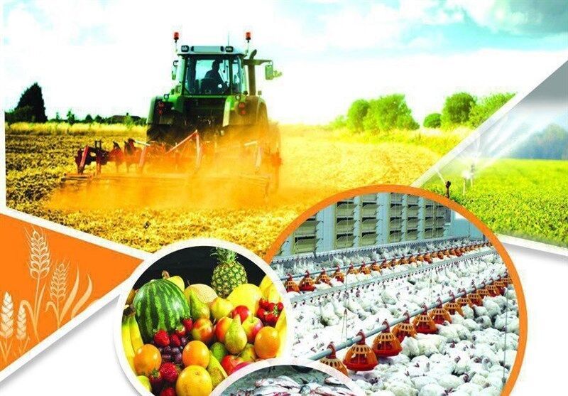 امنیت غذایی