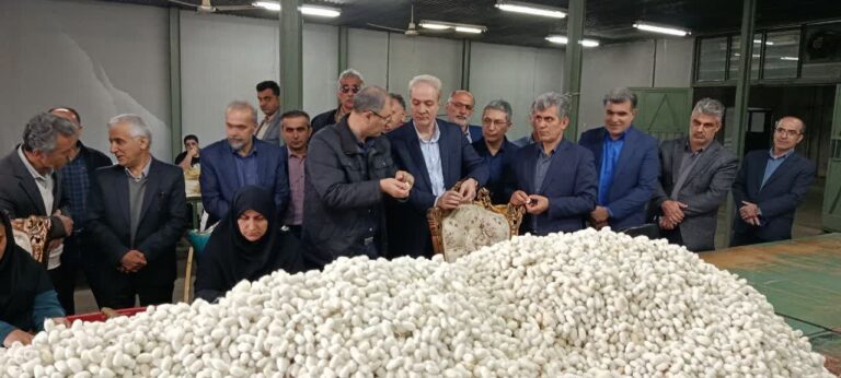 صنعت ابریشم گیلان
