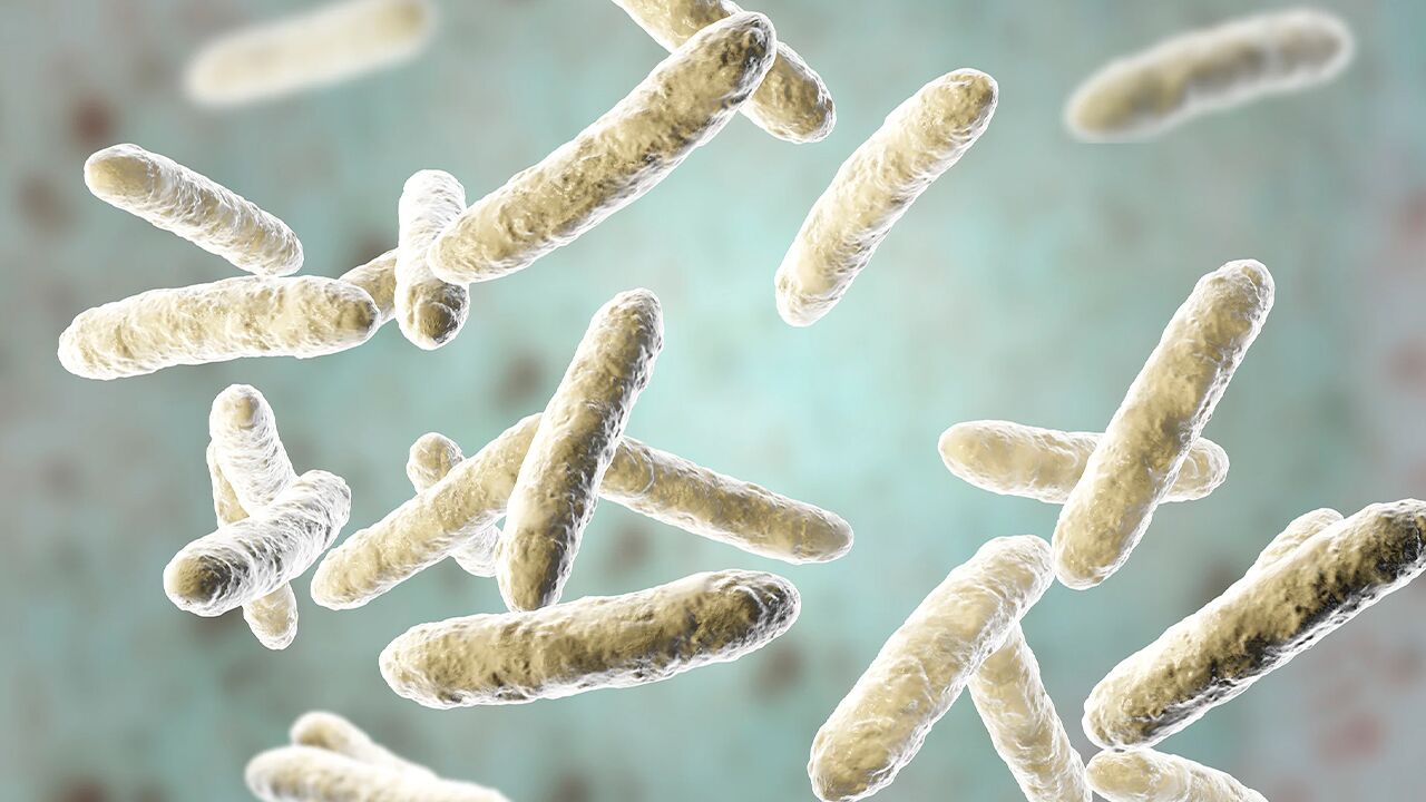 نانوذرات طلا و DNA