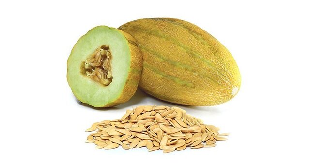 فواید فصلی غذا خوردن