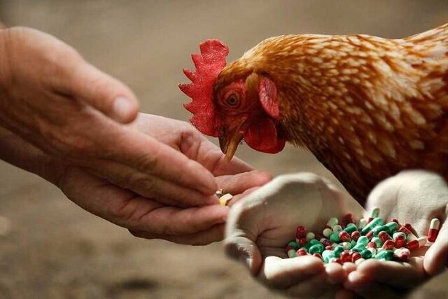 بقایای آنتی‌بیوتیک در گوشت