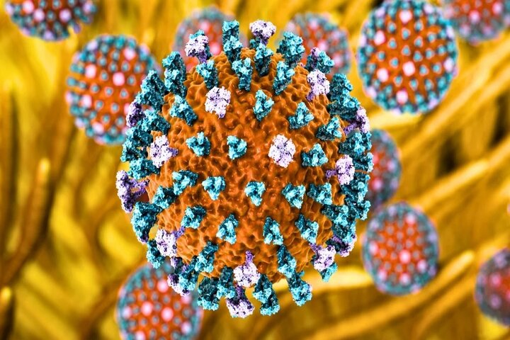 آنفلوانزای پرندگان H9N2