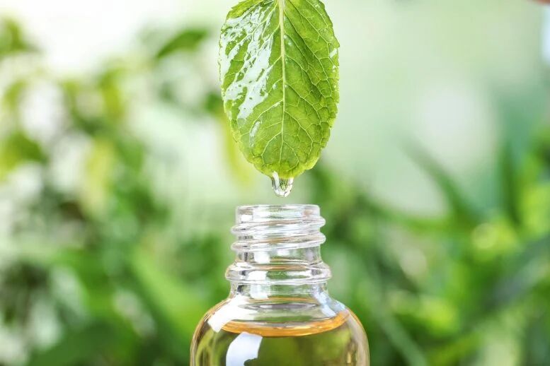 روغن نعنا