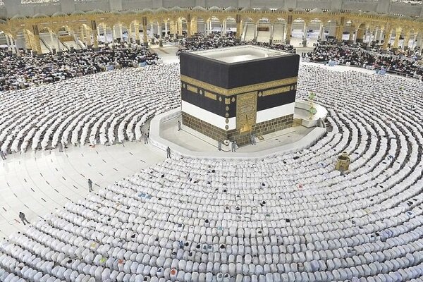 زائر