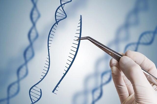 برش DNA